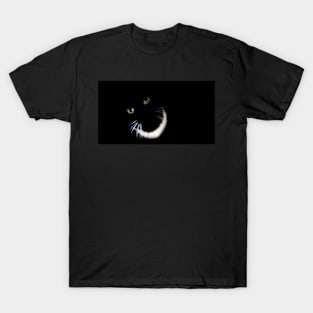 But HOW Can You See Me? T-Shirt